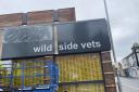 Work taking place at Wild Side Vets