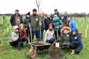The Booths team planting trees