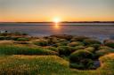 The Solway Coast is one of Cumbria's three Areas of Outstanding Natural Beauty