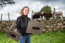 Sally Phillips with Herdwick Sheep and Chimney Sheep
