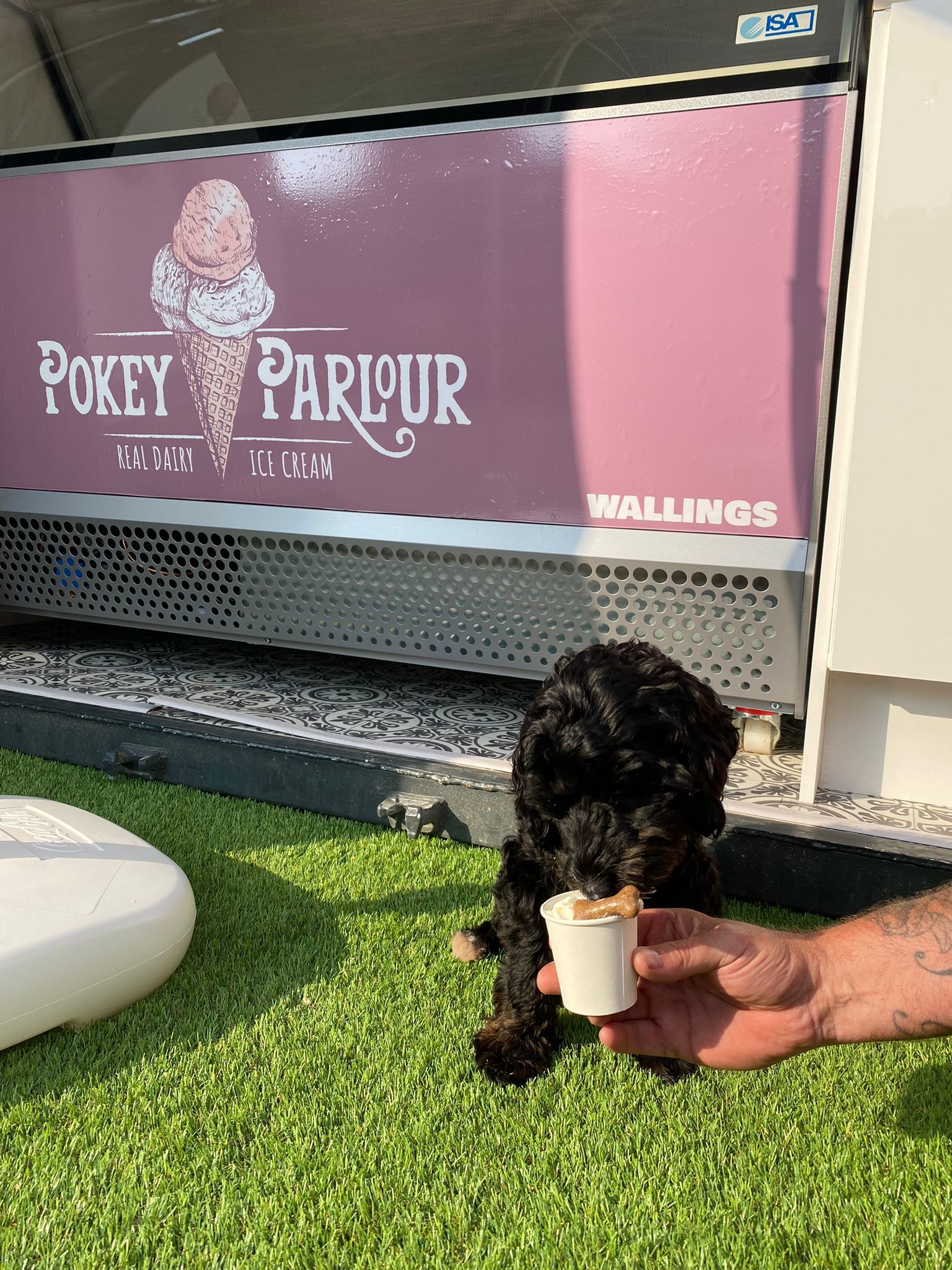 The Pokey Parlour will be offering puppachinos and ice cream for dogs 