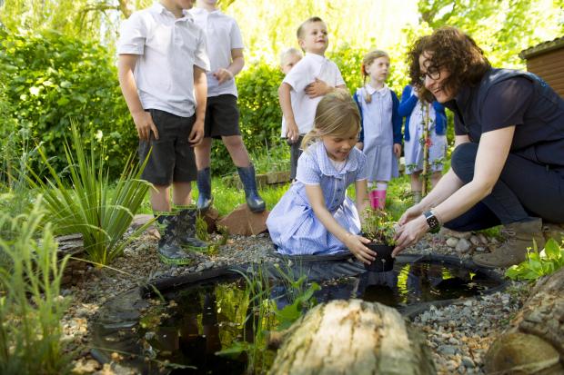 VETS: Take St Michael's students to the pond to plant and learn about wildlife.