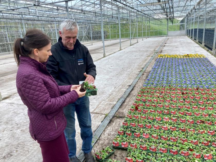 Copeland MP visits family run flower and horticultural business | In Cumbria - in