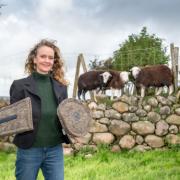 Sally Phillips of Chimney Sheep