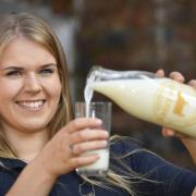 Katherine Jenkinson has always loved Jersey cows and is now selling their milk